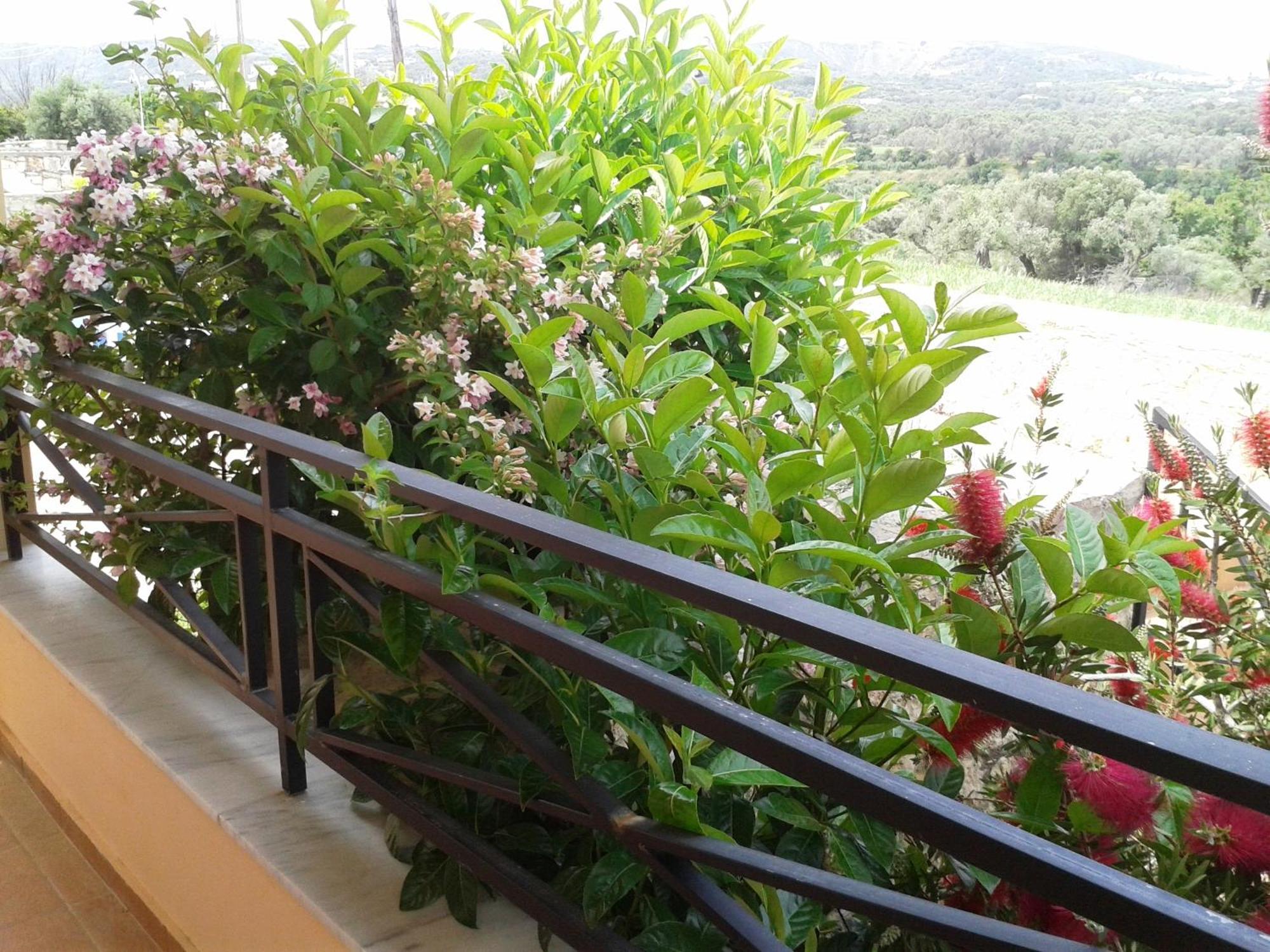Helidonia Villas Pigí Pokój zdjęcie